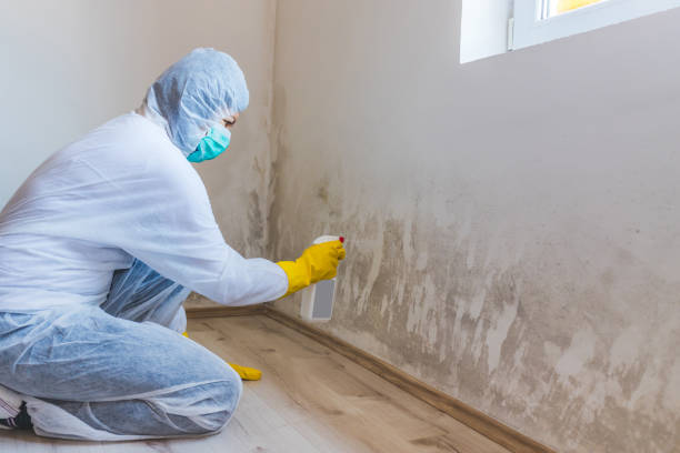 Licensed Commercial Mold Remediation service in Bala Cynwyd, PA - WQB Mold Removal